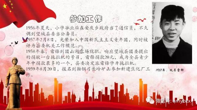 可爱小猫向上跳